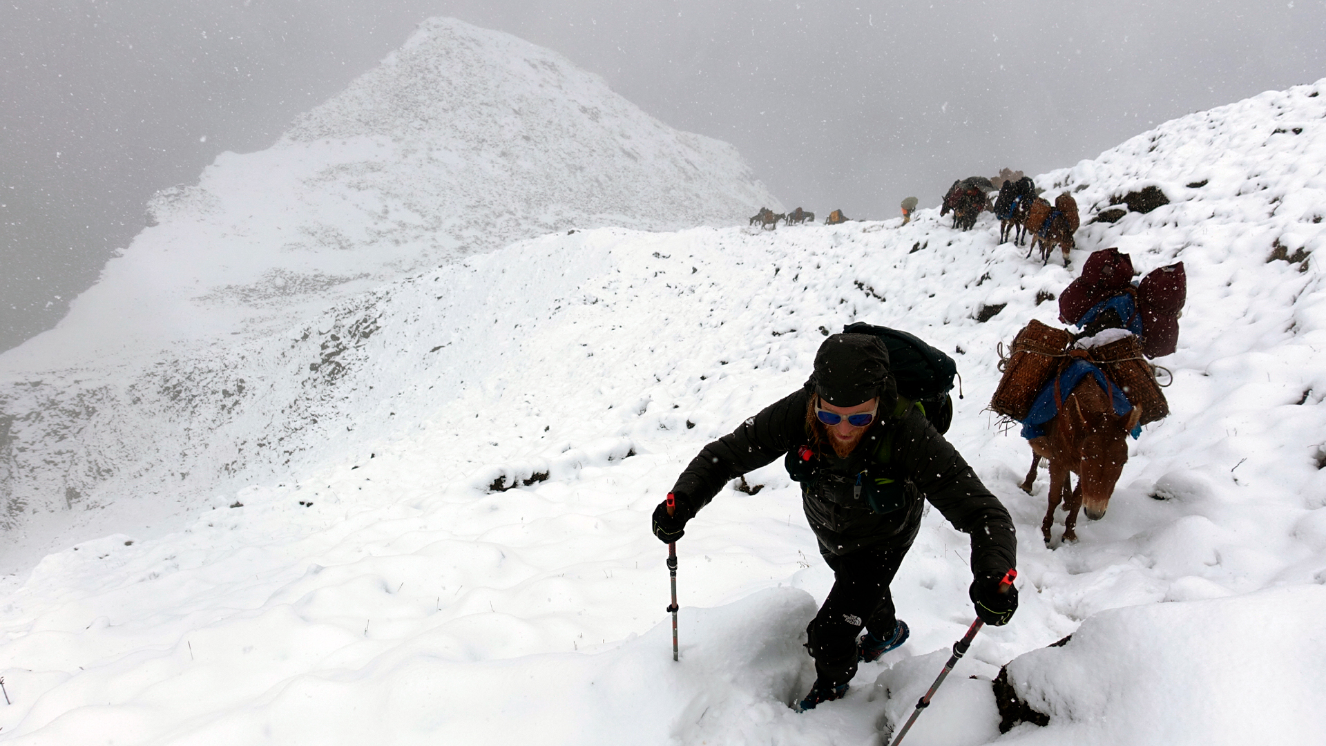 snowman trek himalaya